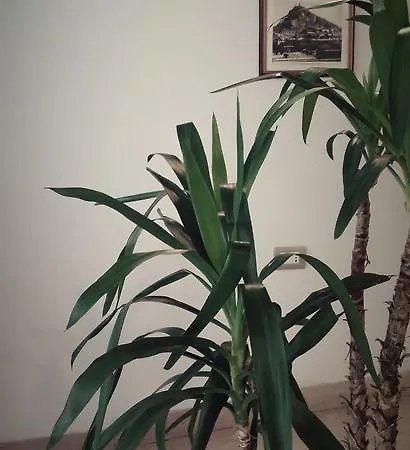 Cà Marcello Casa de hóspedes Monselice
