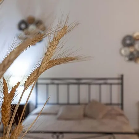Guest house Ca Marcello 3*