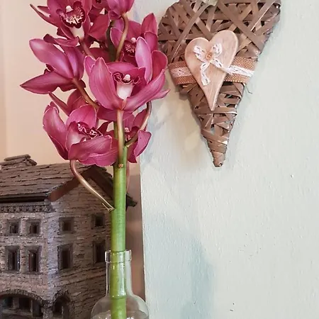 招待所 阿菲塔卡米尔卡马塞罗酒店 蒙瑟里奇